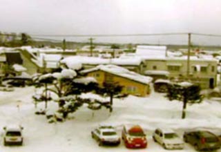 जापान में बर्फ से बर्बादी