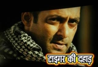 एक था टाइगर