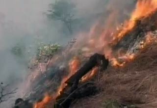 त्रिकुटा पहाड़ियों में भयंकर आग