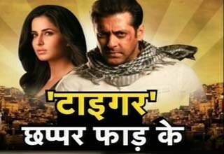 एक था टाइगर