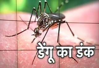 डेंगू का खतरा