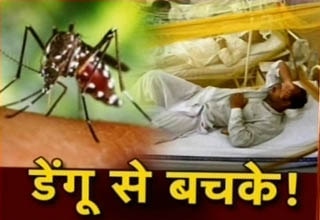 डेंगू