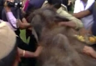 जयललिता