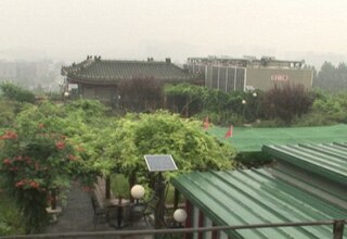 आसमानी गार्डनिंग