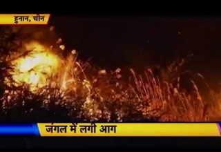 जंगल में आग