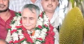 जाने भी दो यारो