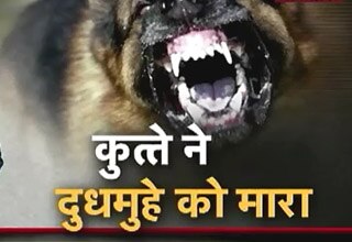 कुत्ते ने 2 महीने की बच्ची को नोच डाला