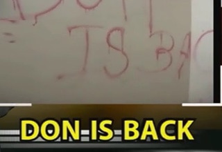 don is back
