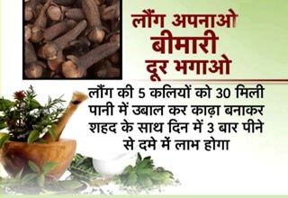 नानी ने कहा था: डॉक्टर का काम करता है लौंग