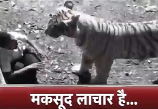 इंडिया 360