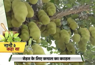 नानी ने कहा था