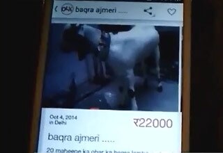 बकरीद पर इंटरनेट पर जम कर बिक रहे हैं बकरें