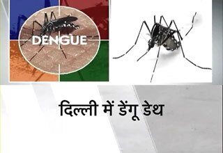 डेंगू से मौत