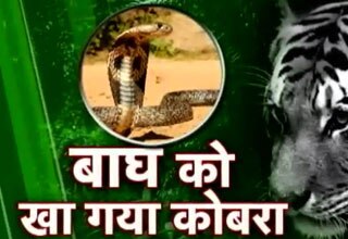 इंदौर के जू में हुई यह हैरान करने वाली घटना