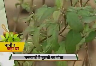 नानी ने कहा था