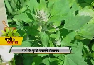 नानी ने कहा था