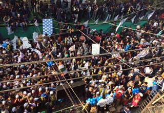 celebration at aam aadmi party