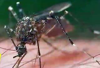 नानी ने कहा था