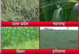 बारिश से फसल बर्बाद