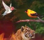 मैं भाग्य हूं