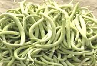 गुणों से भरपुर है ककड़ी