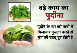 नानी ने कहा था, कमाल का है पुदीना