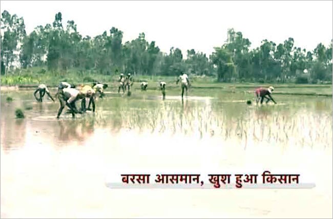 अबकी बार मानसून मेहरबान