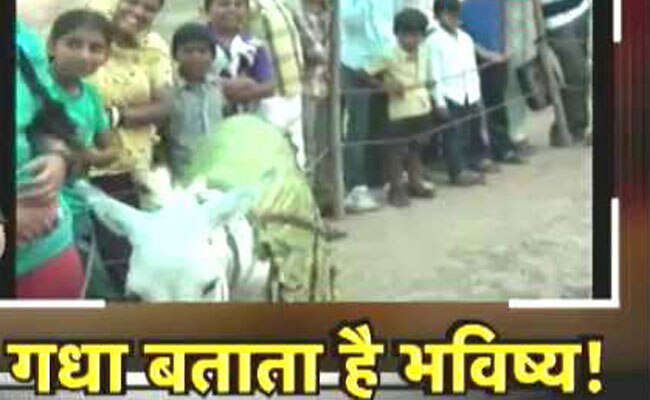 'डिजिटल इंडिया' में गधे से जानिए भविष्य