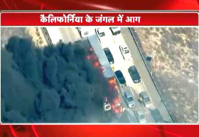 जंगल में लगी आग से गाड़ियां स्वाहा