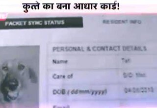 कुत्ते का बना आधार कार्ड