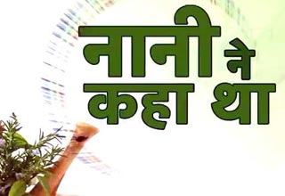 नानी के नुस्खे: कान की समस्याओं से कैसे पाएं निजात