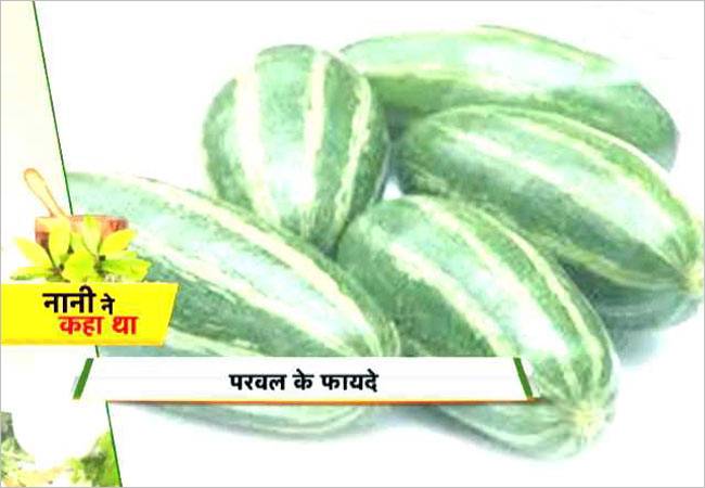 परवल में छुपा है गुणों का खजाना