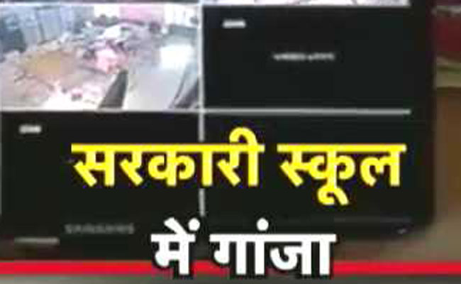 मनीष सिसोदिया ने सरकारी स्कूल से किया गांजा बरामद