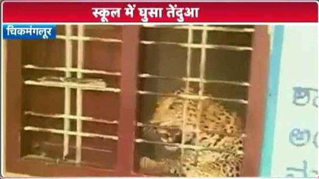 टीएमएस स्कूल में तेंदुआ