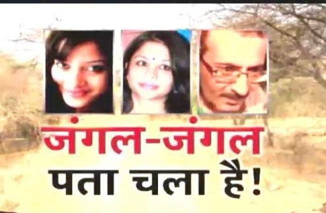 शीना मर्डर केस