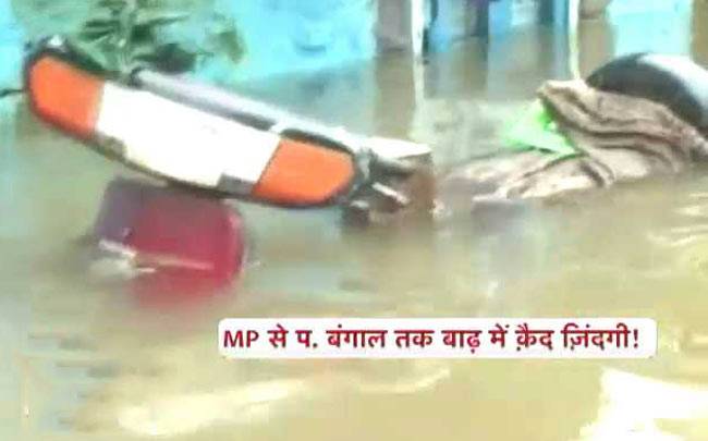 ...ऐसी बाढ़ नहीं देखी होगी!