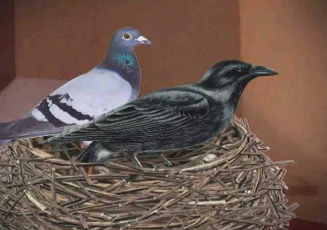 कहानी के माध्यम से जानिए सफलता का राज