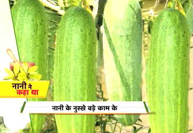 खीरे में छिपा है सेहत का खजाना!