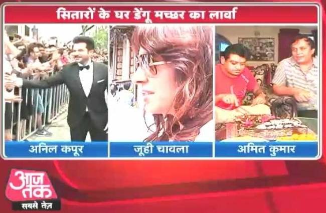 सितारों के घर डेंगू मच्छर का लार्वा