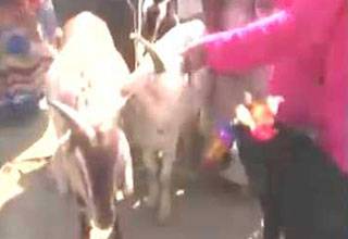 लालू से ज्यादा कीमत में बिक रहा है नीतीश!