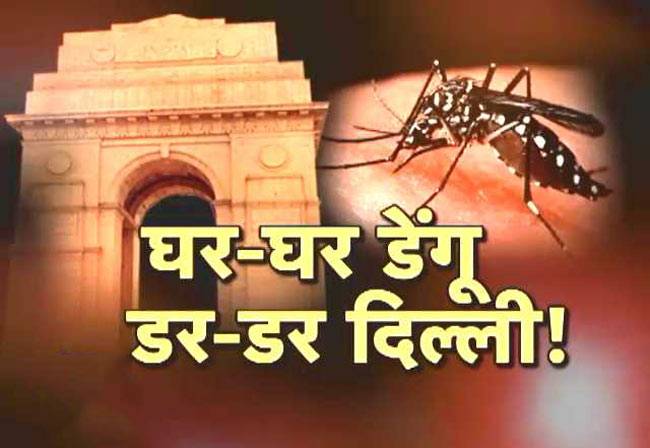 दिल्ली में डेंगू से अब तक 16 लोगों की मौत!