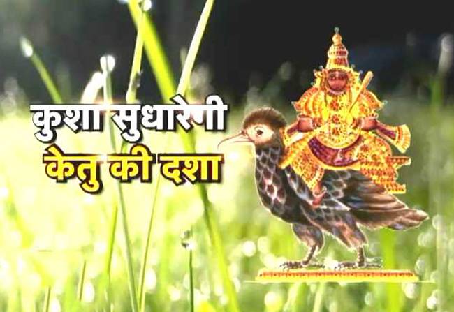 जानिए अमावस्या पर कुशा का महत्व