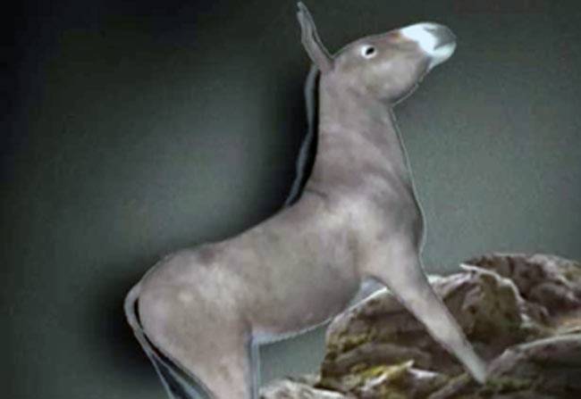 खुद पर यकीन करने से मिलेगी सफलता