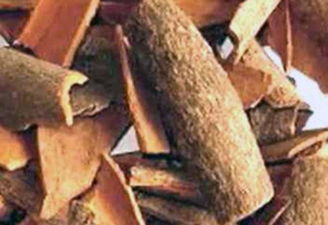 दालचीनी में छुपा है गुणों का खजाना
