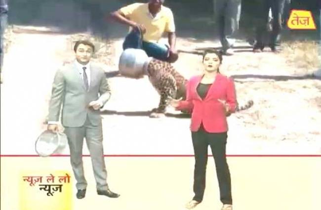 न्यूज ले लो: कैेसे तेंदुए का सिर मटके में अटका