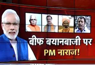 बीफ पर बवाल मचाने वाले नेताओं से नाराज हैं मोदी