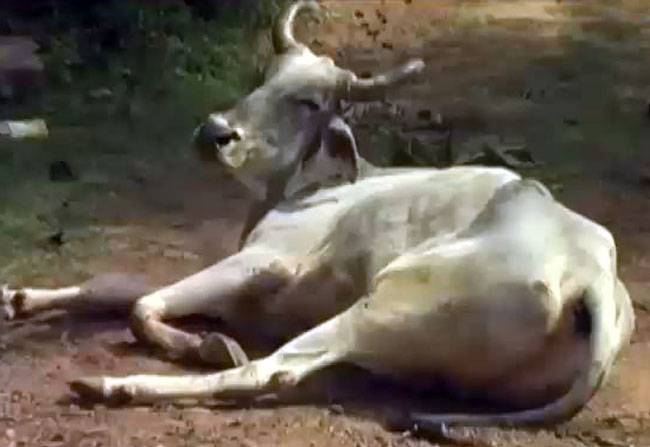 खबरदार: बड़ी खबरों पर एक नजर