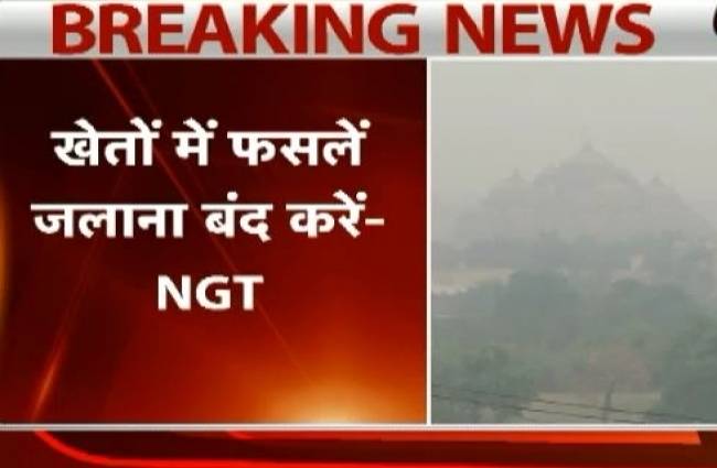 दिल्ली-NCR और पड़ोसी राज्यों में फसलें जलाने पर रोक: NGT