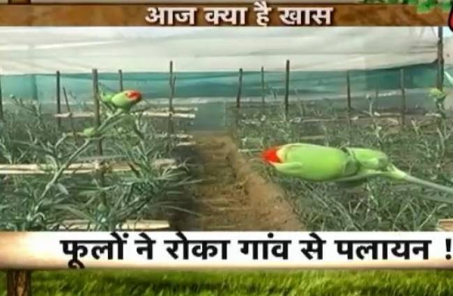 गांव कनेक्शन