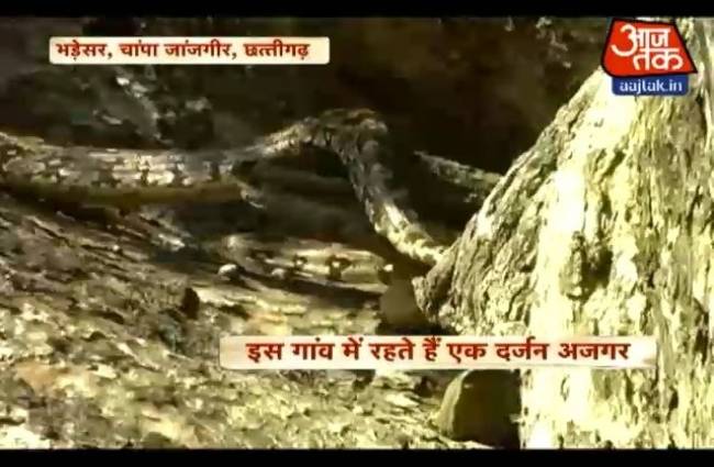 गांव आजतक में गांव की खबरें